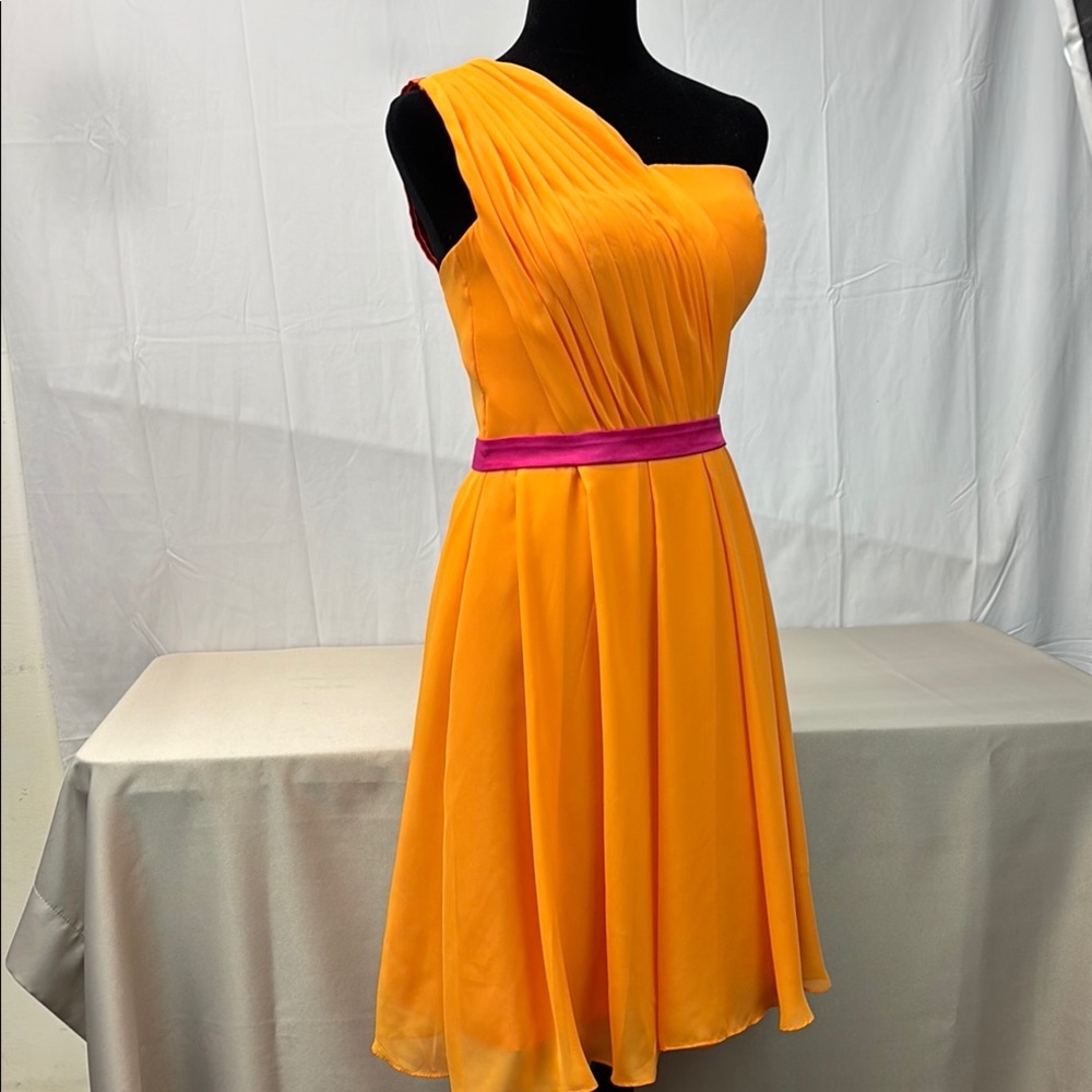 JJs House Party Dress sz S